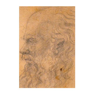 Old man with beard - 1900 - pencil on paper