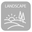 outdoors backgrounds in amedeo modigliani