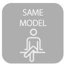 same sitter in various paintings