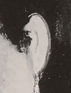 ear